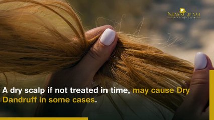 Here's Your Guide To Fight Scalp Related Problems