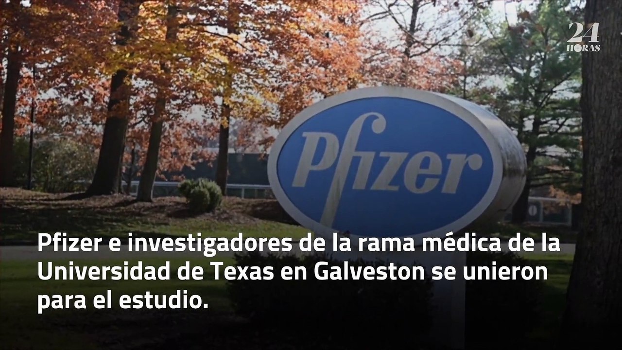 Estudio de Pfizer sugiere que su vacuna Covid-19 funciona contra diferentes cepas
