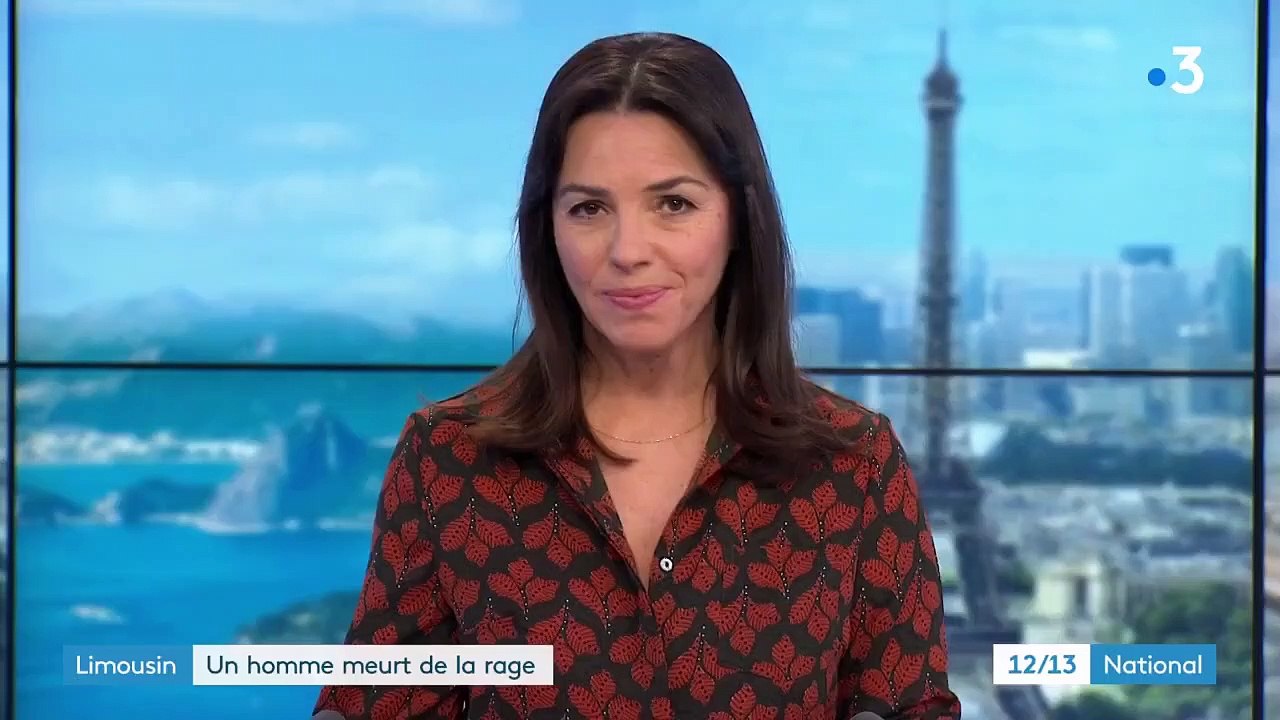 Limousin : retour sur le cas rare d'un habitant décédé après avoir été en contact avec une chauve-souris