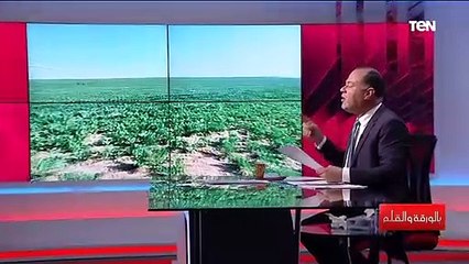 الديهي:كل حاجة بتحصل في مصر بناء على توجيهات الرئيس السيسي.. وتفاجأنا بمشروع مستقبل مصر الزراعي