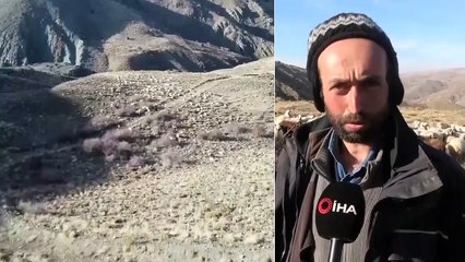 Kuraklık Onları Hem Sevindirdi, Hem Düşündürdü