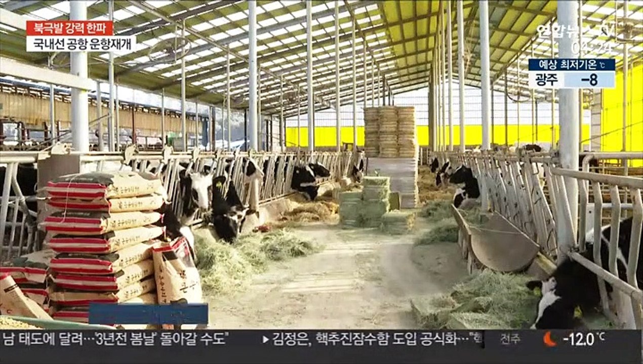 주말에도 전국이 냉동고…낙동강 3년 만에 '꽁꽁'