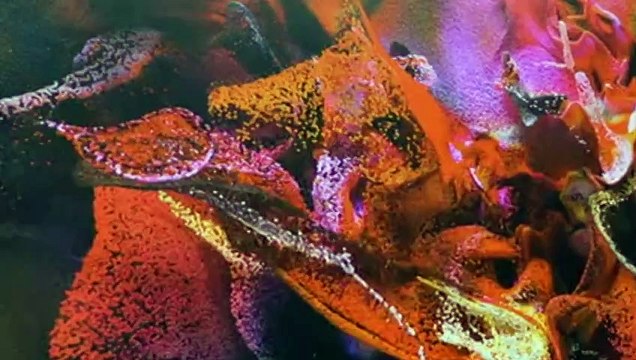 NGV opens exhibition featuring more than 100 artists