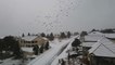 Storm blankets Colorado with snow on its way south