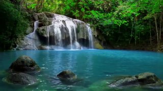 sonido de agua de una cascada EN MOVIMIENTO y canto de PÁJAROS para relajarse y DORMIR PROFUNDAMENTE