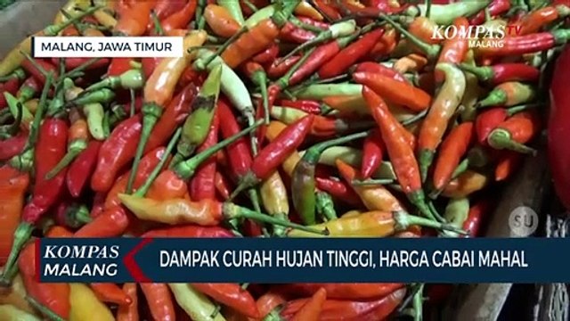 Dampak Curah Hujan Tinggi, Harga Cabai di Pasaran Melonjak
