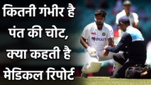 Ind vs Aus 3rd Test: Rishabh Pant hit on elbow but injury is not serious | वनइंडिया हिंदी