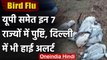 Bird Flu : UP समेत 7 राज्यों में बर्ड फ्लू की दस्तक, Kanpur Zoo को किया सील | वनइंडिया हिंदी