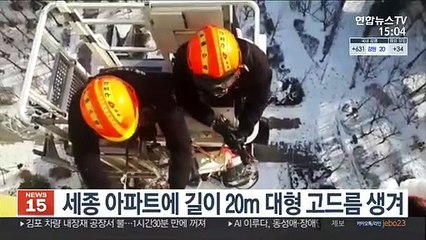 세종 아파트에 길이 20m 대형 고드름 생겨