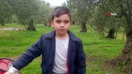 Yolda bir anda karşılarına domuz sürüsü çıktı