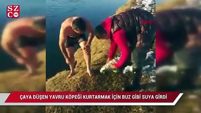 Çaya düşen yavru köpeği kurtarmak için buz gibi suya girdi