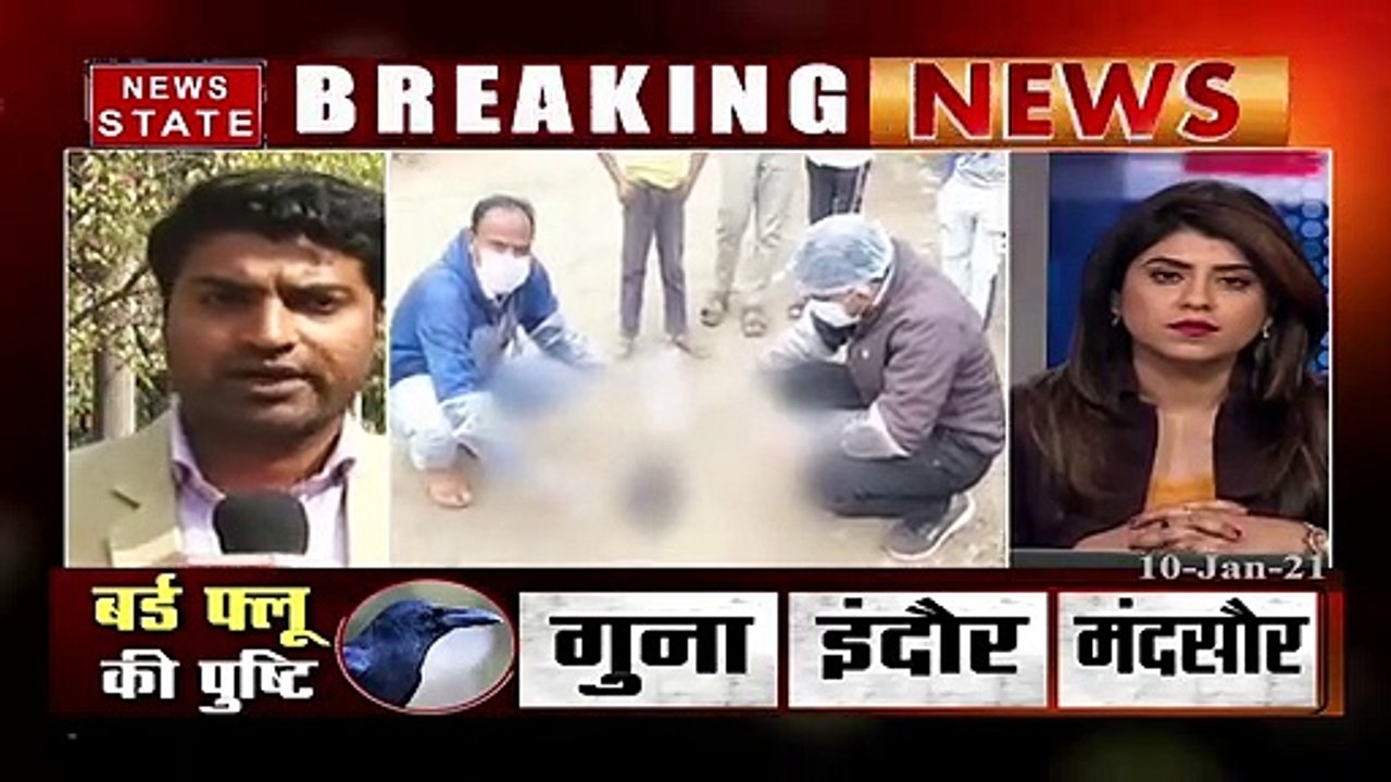 Bird Flu :  एमपी के 13 जिलों में बर्ड फ्लू का कहर, 27 जिलों में लगभग 1100 पक्षियों की मौत की खबर