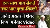 Javed Akhtar ने शेयर किया Dog and Cat का ये मेजदार Viral Video, Watch Video | वनइंडिया हिंदी