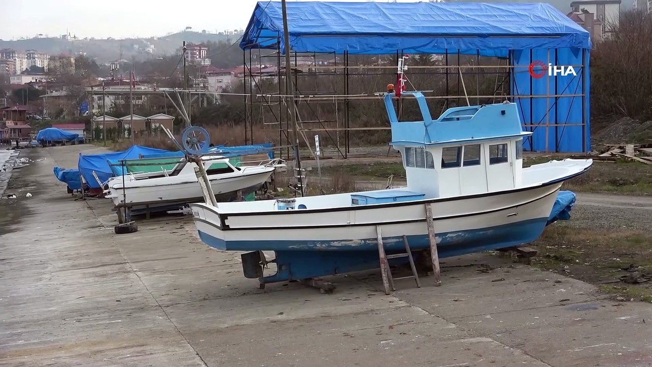 Hamsinin geleceği tehlikede