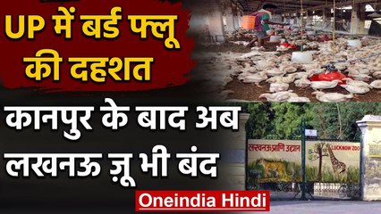 Bird Flu : Lucknow Zoo भी बंद, Kanpur Zoo के सभी पक्षियों को मारने के आदेश | वनइंडिया हिंदी