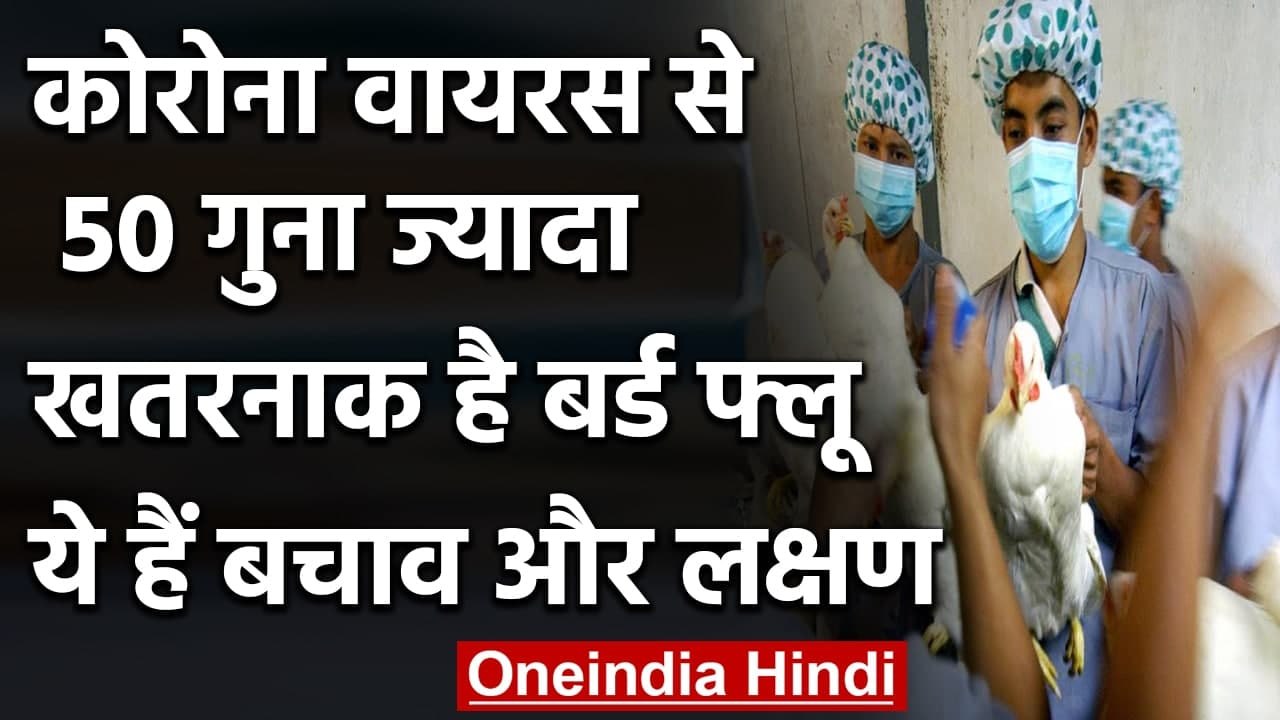 Corona Virus से 50 गुना ज्यादा खतरनाक है Bird Flu, जानिए क्या हैं बचाव और लक्षण | वनइंडिया हिंदी