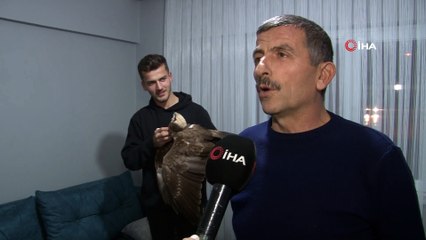 Uçmakta zorlanan doğana hayvan sever sahip çıktı