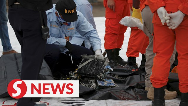 We will do our best : Jokowi urges prayers as remains found at plane crash site