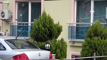 Üniversiteli Aleyna boğularak öldürülmüş