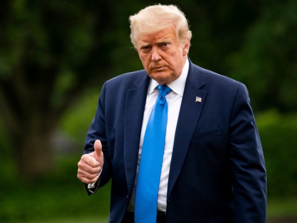 Impeachment: Diese juristischen Schwergewichte sollen Trump rausboxen