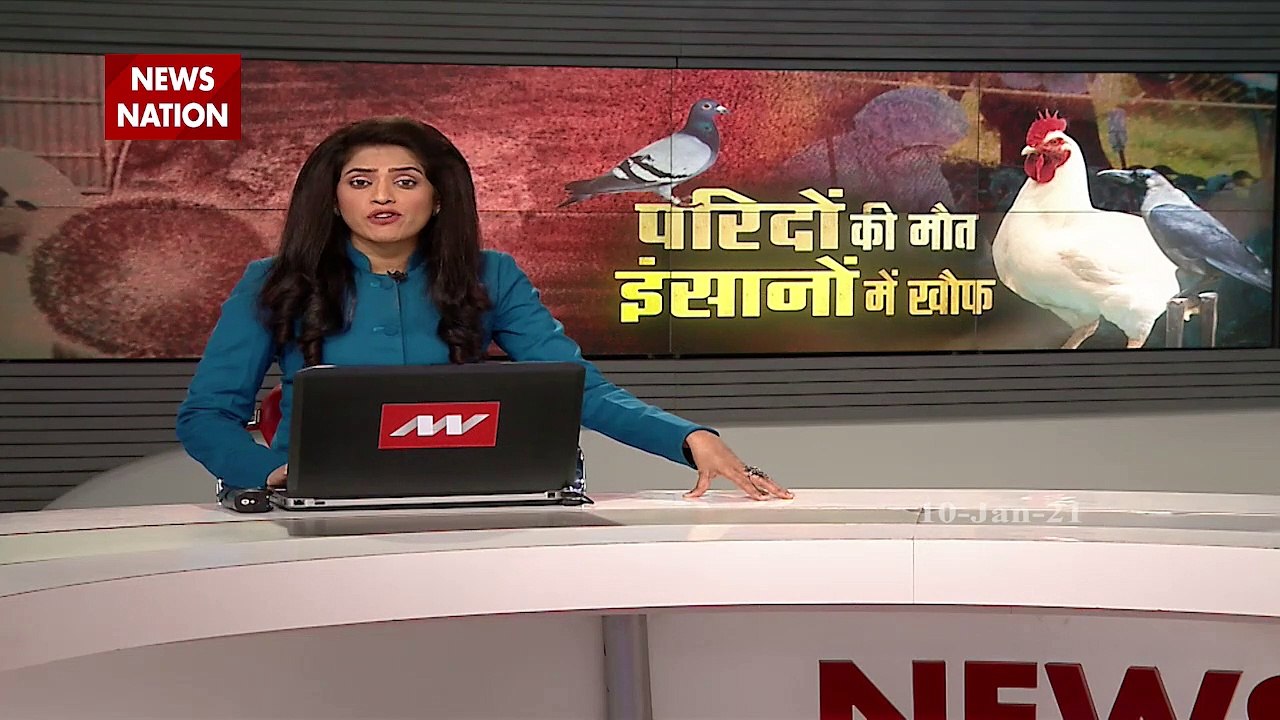 Bird flu scare in Jammu after over 150 crows found dead