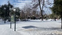 El Parque del Retiro continúa completamente nevado este domingo
