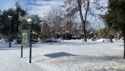 El Parque del Retiro continúa completamente nevado este domingo