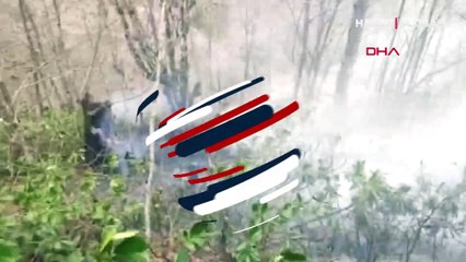 Trabzon ve Ordu'da örtü yangını