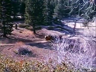 Bonanza Season 3 Episode 31 The Dowry