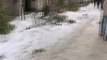Árboles y cornisas se suman a la amenaza de la nieve en Madrid