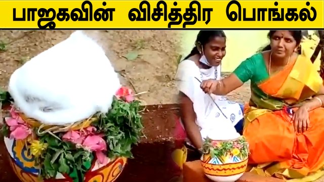 பஞ்சு வைத்து சமாளித்த மகளிரணி.. வைரலான பாஜகவின் பொங்கல் விழா | Oneindia tamil