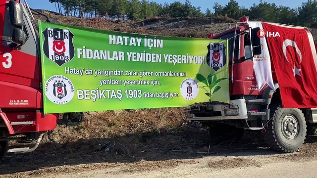 Hatay’ın Belen ilçesinde yangında zarar gören alana Beşiktaş Kulübü yöneticileri fidan dikti