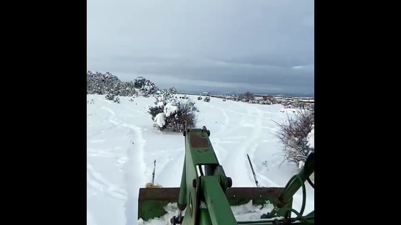 Ganadería Los Lastrones bajo la nieve. 10.01.21 | MUNDOTORO