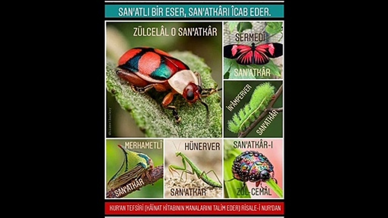 Kıyâme Sûresi
