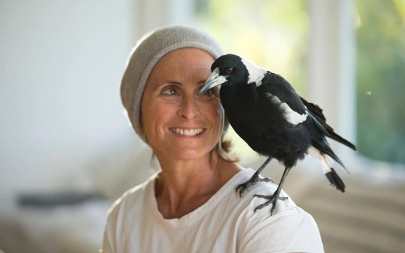 Penguin Bloom Film avec Naomi Watts et Andrew Lincoln