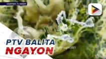 #PTVBalitaNgayon | Frost, nailista iti paset ti Benguet kagiddan ti panagbaba ti temperatura