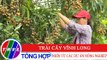 Nông nghiệp bền vững: Trái cây Vĩnh Long - Nhìn từ các dự án nông nghiệp