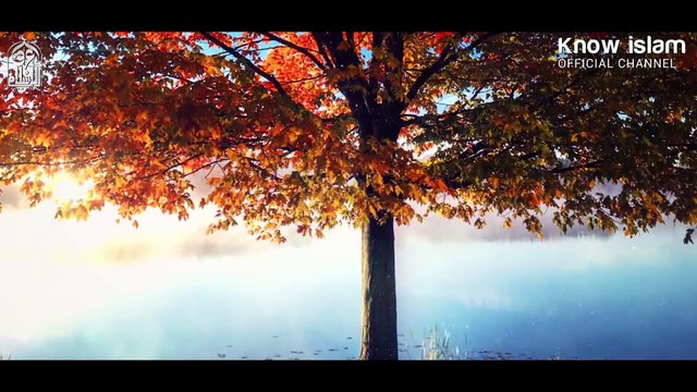 مفتاح من أهم مفاتيح أبواب السماء وتنزل البركات بإذن الله تعالى د. محمد سعود الرشيدي