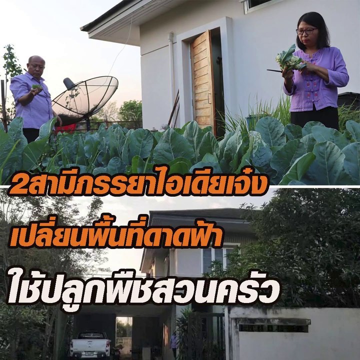 2สามีภรรยาไอเดียเจ๋ง เปลี่ยนพื้นที่ดาดฟ้า ใช้ปลูกพืชสวนครัว
