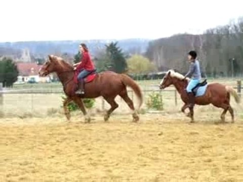 séance d'obstacle fev 08