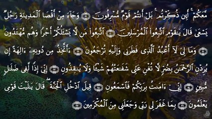 سورة يس - عبدالباسط عبدالصمد - SURAH YASIN - Abdulbasit Abdussamad