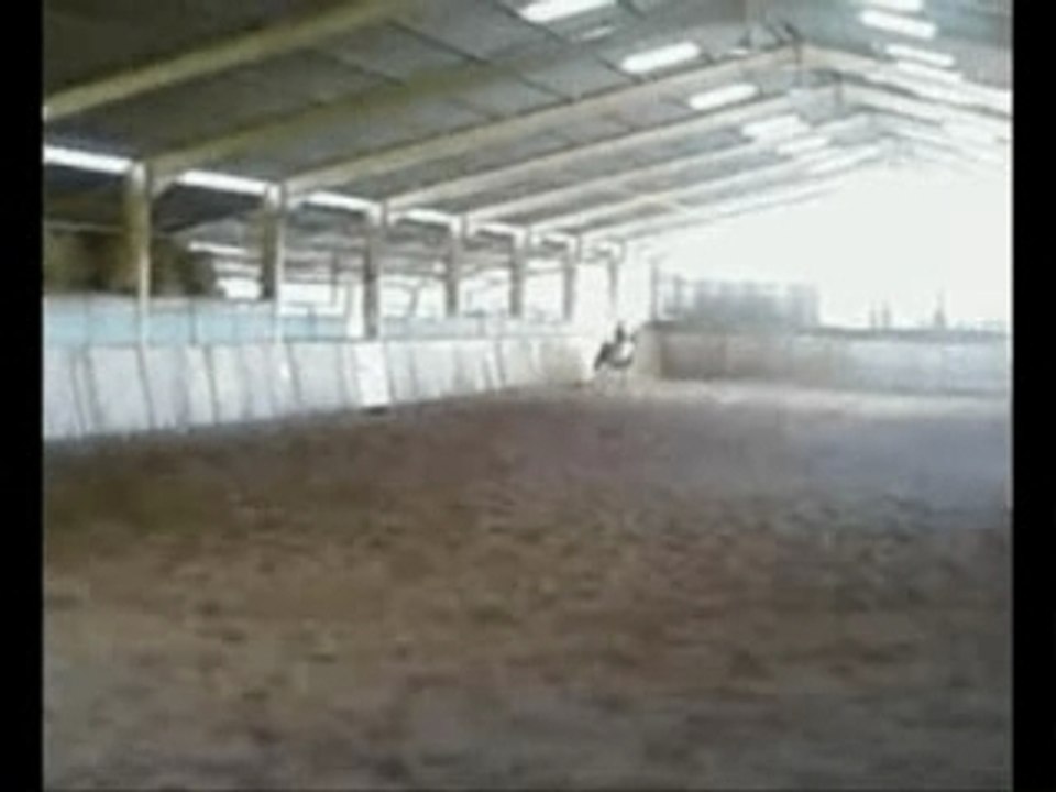 Ma ptite horse life
