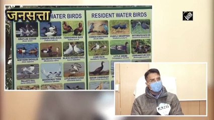 Bird flu का कोरोना से भी खतरनाक रूप, देखिये चिड़ियाघरों में कैसी है तैयारी?