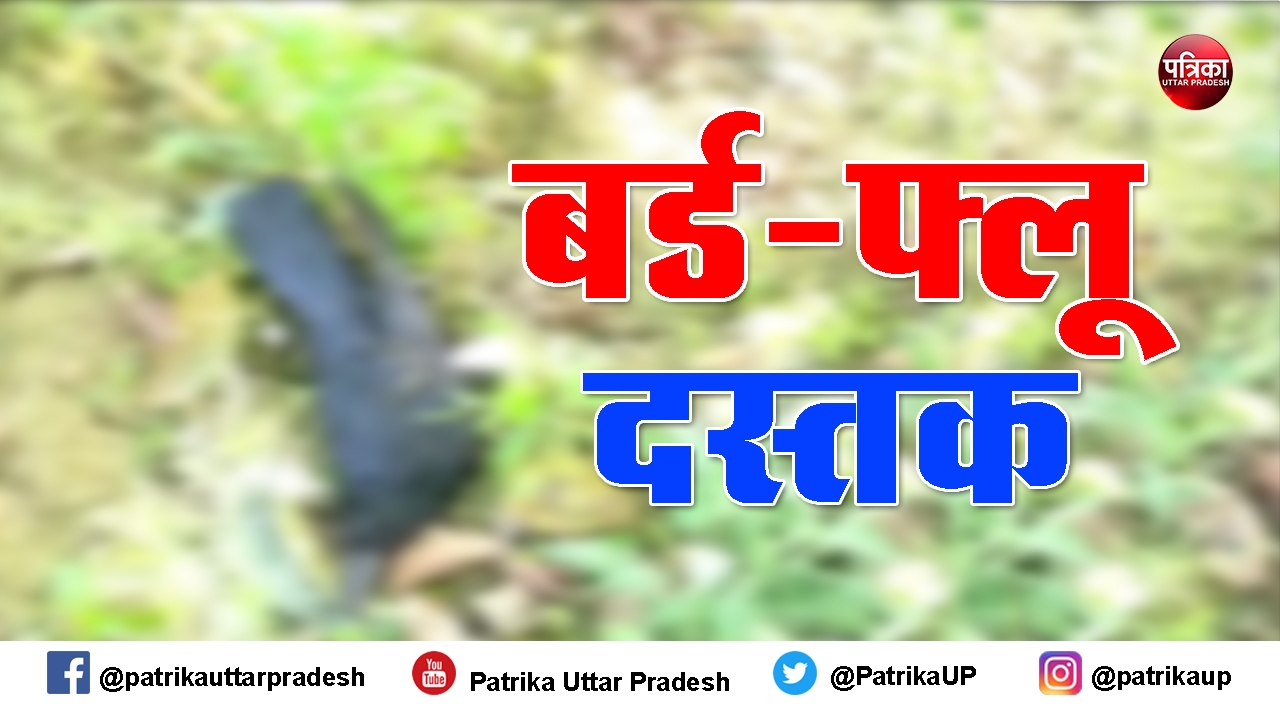 अमेठी में बाग में कई कौए मृत, मचा हड़कंप
