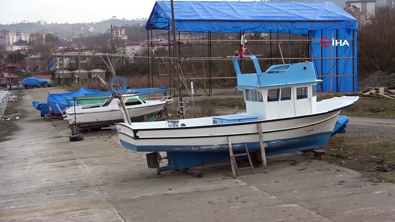 Hamsinin Geleceği Tehlikede