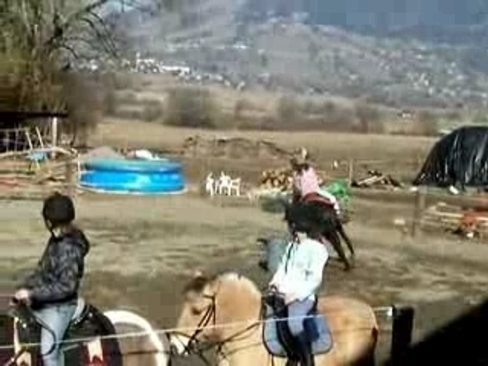 Entrainement Pole Bending