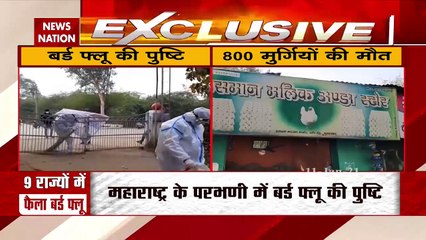 Bird Flu: दिल्ली में  पहुंचा बर्ड फ्लू, संजय झील से 8 सैंपल पाए गए पॉजिटिव