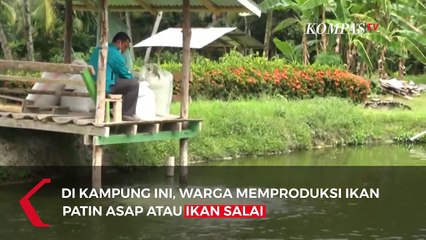 Intip Produksi Ikan Asap di Kampar Riau, Penggerak Ekonomi Sejak Tahun 2002