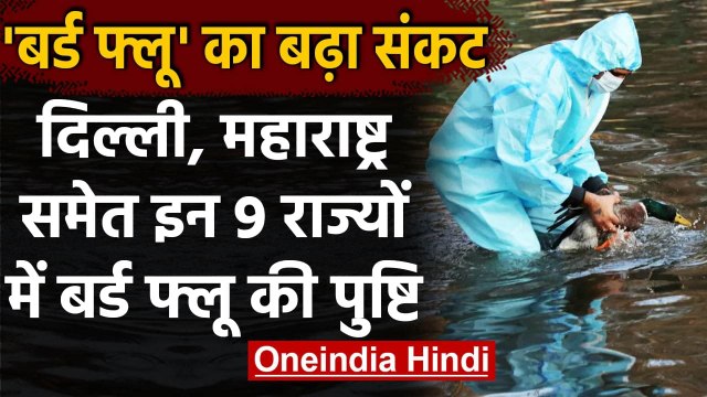 Bird Flu In India: Delhi और Maharashtra समेत 9 राज्यों में बर्ड फ्लू से हड़कंप | वनइंडिया हिंदी