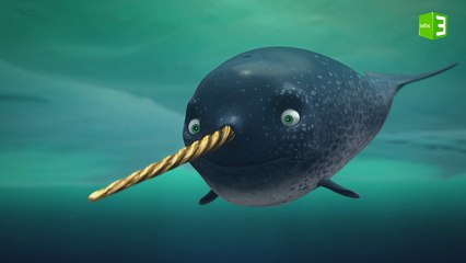 نارويل الحوت العجيب